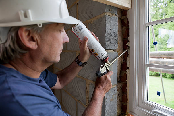 Best Geographic-Specific Insulation Services in Skidmore, TX