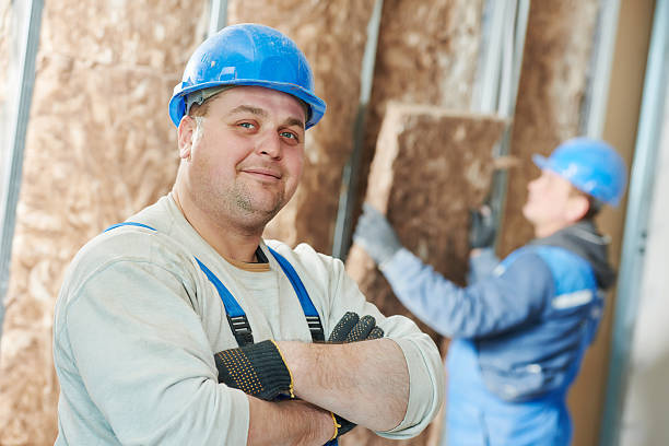 Best Insulation Maintenance and Repair in Skidmore, TX