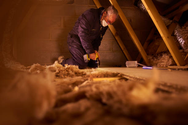 Types of Insulation We Offer in Skidmore, TX